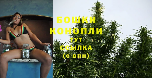 ПСИЛОЦИБИНОВЫЕ ГРИБЫ Волоколамск
