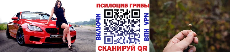 ОМГ ОМГ рабочий сайт Карпинск Галлюциногенные грибы MAGIC MUSHROOMS